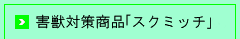 Qb΍􏤕i